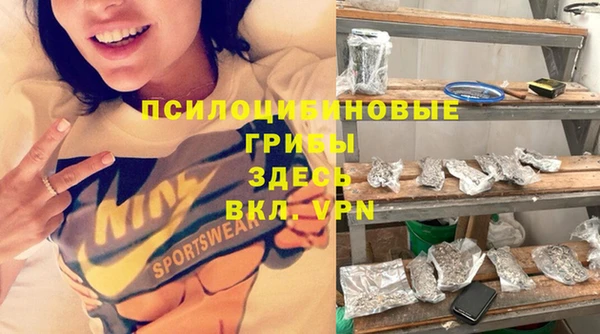 хмурый Бронницы
