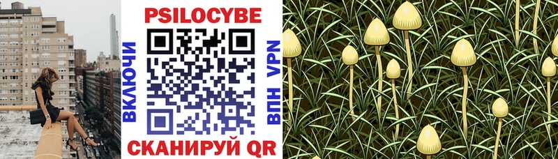 Галлюциногенные грибы прущие грибы  Купить где  Звенигород 